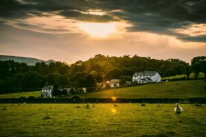 What is Green Belt